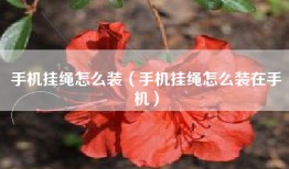 手机挂绳怎么装（手机挂绳怎么装在手机）