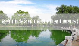 道格手机怎么样（道格手机是山寨机吗）