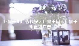 巨量千川广告代投／巨量千川／巨量千川直播广告