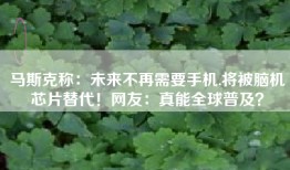 马斯克称：未来不再需要手机,将被脑机芯片替代！网友：真能全球普及？