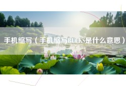 手机缩写（手机缩写BUCKS是什么意思）