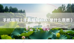 手机缩写（手机缩写BUCKS是什么意思）