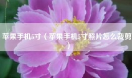苹果手机5寸（苹果手机5寸照片怎么裁剪）