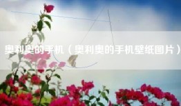 奥利奥的手机（奥利奥的手机壁纸图片）