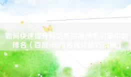 如何快速提升网站在百度搜索引擎中的排名（百度SEO排名优化技巧剖析）