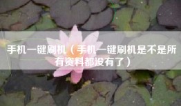 手机一键刷机（手机一键刷机是不是所有资料都没有了）