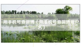 用手机号查微博（用手机号查微博用户名）