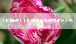 手机漏光（手机屏幕有缝隙透光怎么办）