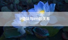 IP地址与DNS的关系