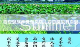 西安魅族手机专卖店（西安哪里有卖魅族手机）