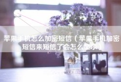 苹果手机怎么加密短信（苹果手机加密短信来短信了会怎么显示）