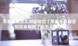 苹果手机怎么加密短信（苹果手机加密短信来短信了会怎么显示）