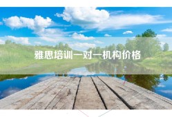 雅思培训一对一机构价格