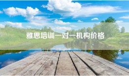 雅思培训一对一机构价格