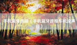 手机蓝牙连接（手机蓝牙连接车机没声音）