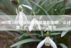 2024年AI对巨头业务的赋能和影响：云计算、广告、AICoding变化
