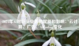 2024年AI对巨头业务的赋能和影响：云计算、广告、AICoding变化