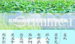 选择SEO网站排名优化软件有哪些