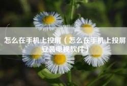 怎么在手机上投屏（怎么在手机上投屏安装电视软件）