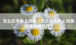 怎么在手机上投屏（怎么在手机上投屏安装电视软件）