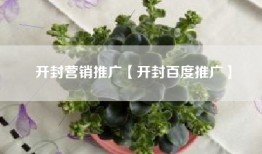 开封营销推广【开封百度推广】