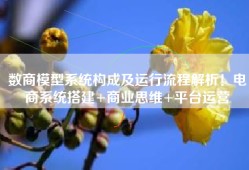 数商模型系统构成及运行流程解析！电商系统搭建+商业思维+平台运营