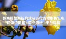 数商模型系统构成及运行流程解析！电商系统搭建+商业思维+平台运营