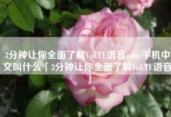 3分钟让你全面了解VoLTE语音volte手机中文叫什么「3分钟让你全面了解VoLTE语音」