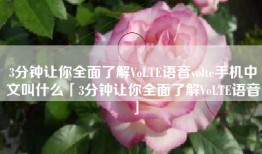 3分钟让你全面了解VoLTE语音volte手机中文叫什么「3分钟让你全面了解VoLTE语音」