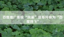 百度推广系统“凤巢”宣布升级为“百度伴飞”