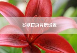 谷歌首页背景设置