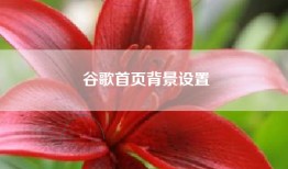谷歌首页背景设置