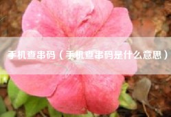 手机查串码（手机查串码是什么意思）