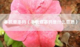 手机查串码（手机查串码是什么意思）