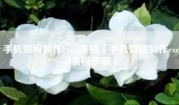 手机如何制作excel表格（手机如何制作excel表格步骤）