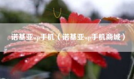 诺基亚wp手机（诺基亚wp手机商城）