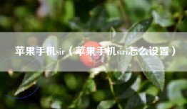 苹果手机sir（苹果手机siri怎么设置）