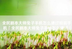 全民剧本大师兔子手机怎么通过组装手机「全民剧本大师兔子手机怎么通过」
