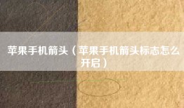 苹果手机箭头（苹果手机箭头标志怎么开启）