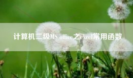 计算机二级MS office之excel常用函数