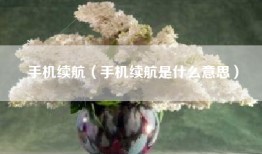 手机续航（手机续航是什么意思）