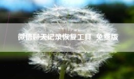 微信聊天记录恢复工具  免费版