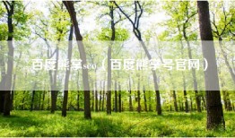 百度熊掌seo（百度熊掌号官网）