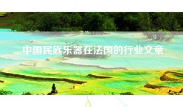 中国民族乐器在法国的行业文章