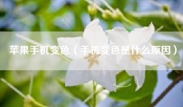 苹果手机变色（手机变色是什么原因）