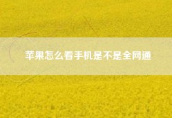 苹果怎么看手机是不是全网通