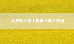 苹果怎么看手机是不是全网通