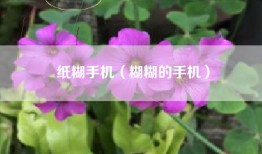 纸糊手机（糊糊的手机）