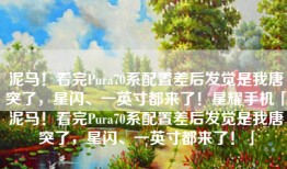 泥马！看完Pura70系配置差后发觉是我唐突了，星闪、一英寸都来了！星耀手机「泥马！看完Pura70系配置差后发觉是我唐突了，星闪、一英寸都来了！」