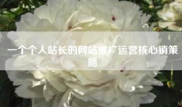 一个个人站长的网站推广运营核心销策略